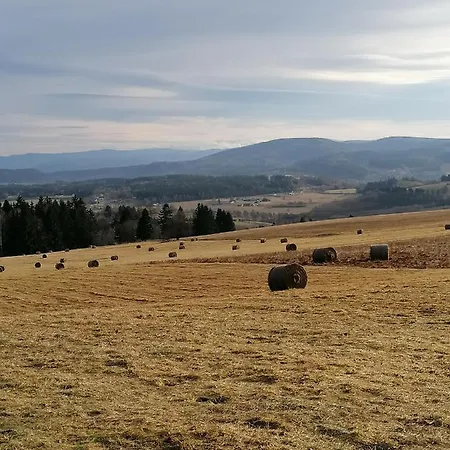 Apartment U Przewodnika Sudeckiego