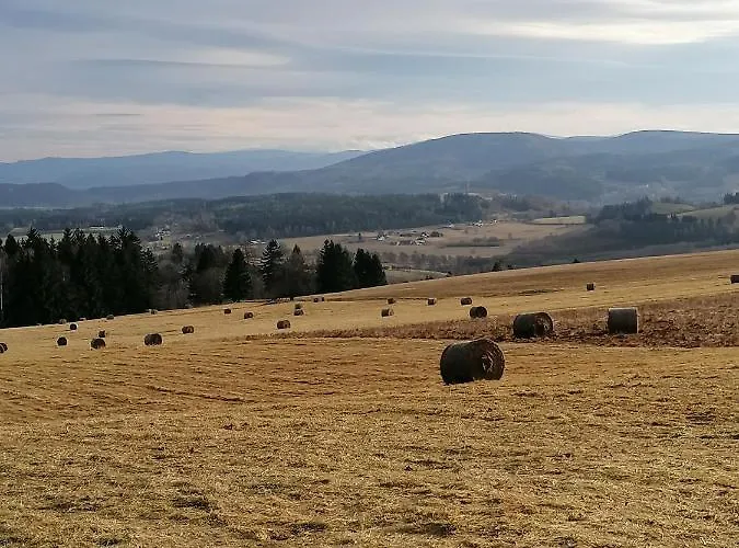 アパート U Przewodnika Sudeckiego